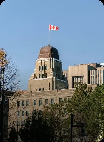 Image hover effect image