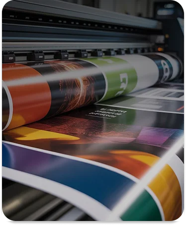Image hover effect image