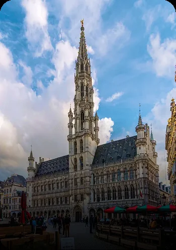 Image hover effect image