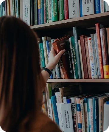 Image hover effect image