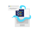 python development services