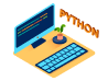 python development services